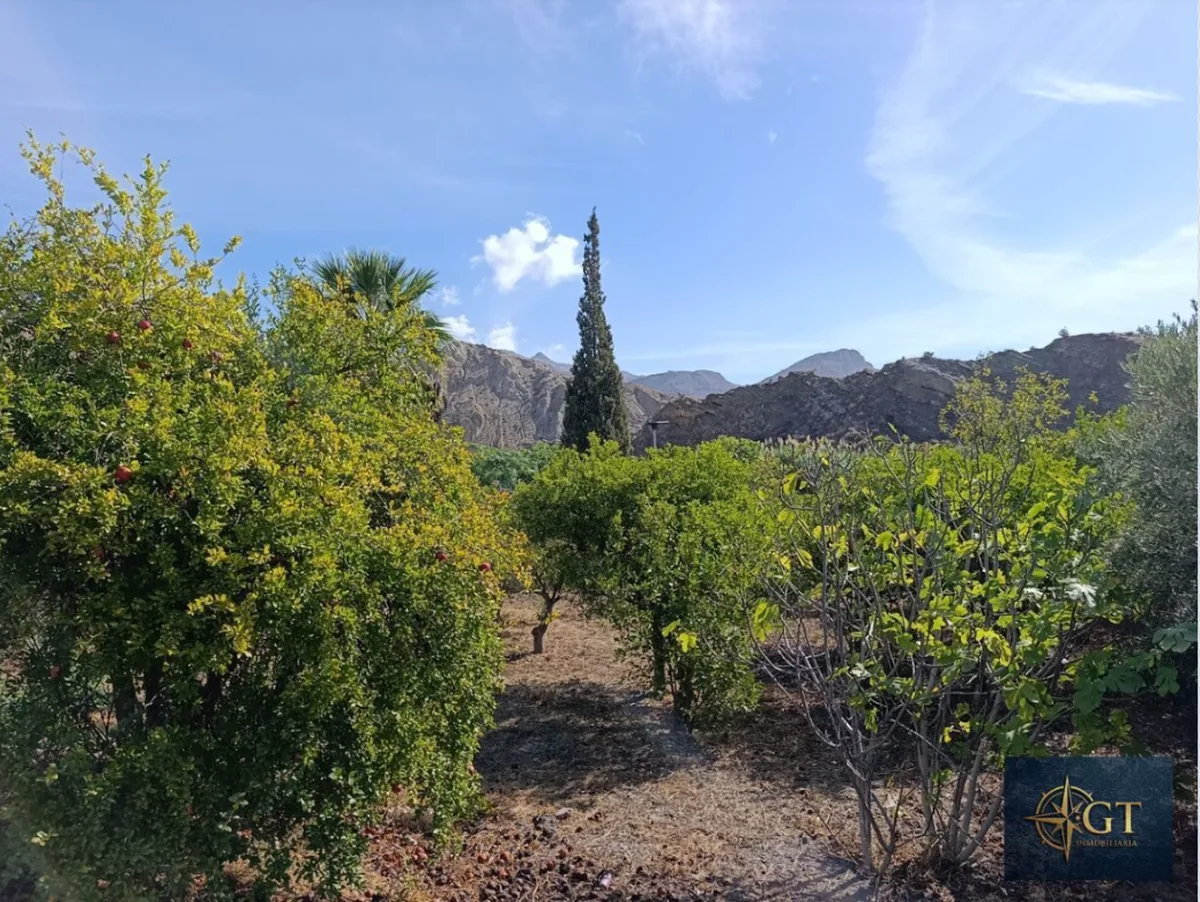 Finca con casa reformada y piscina en venta en Rioja, Almería